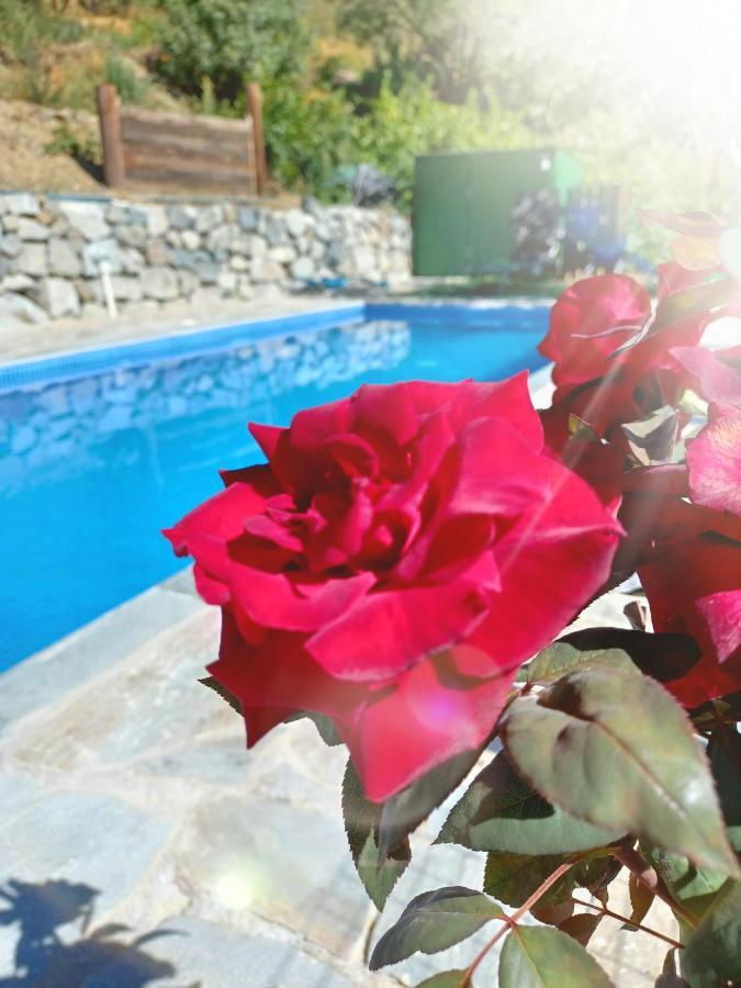 Villa Agrompelo House à Agros Extérieur photo