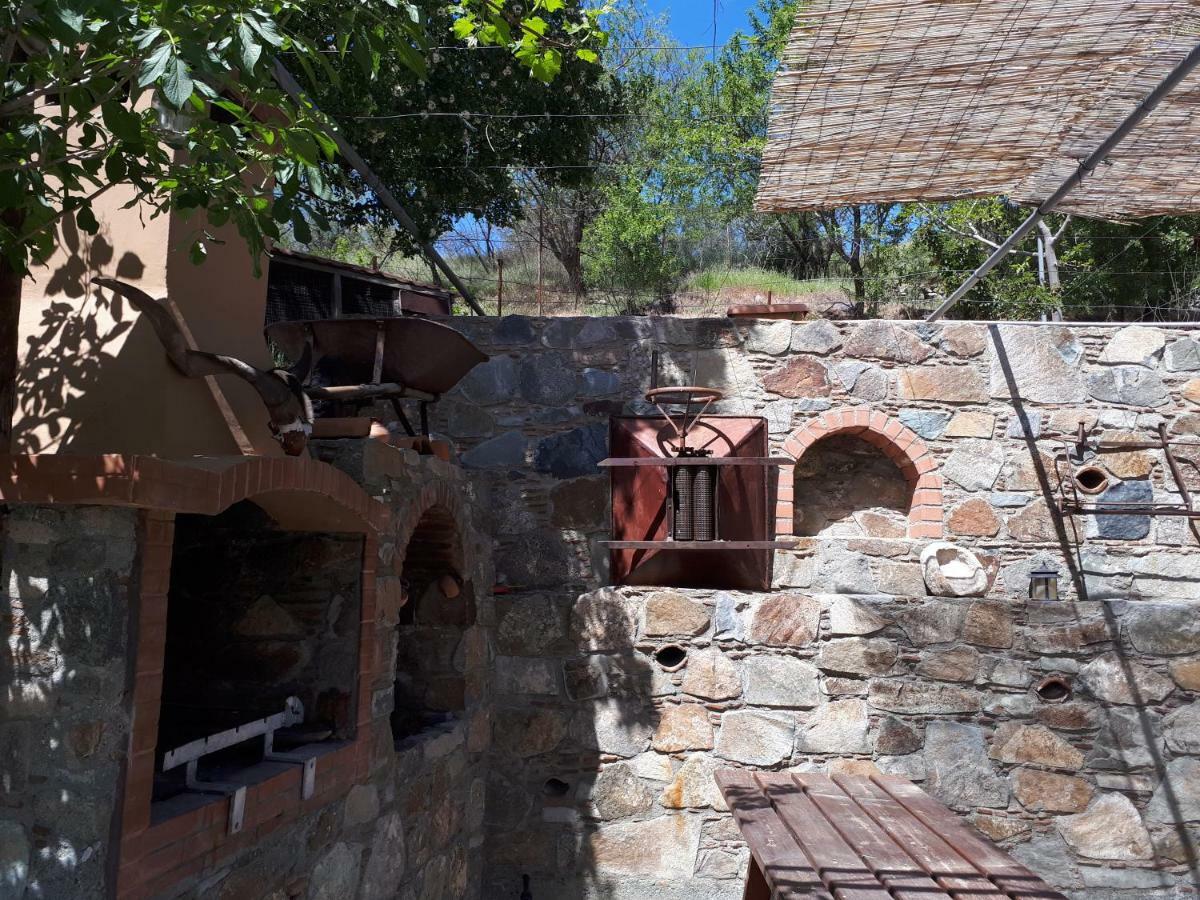 Villa Agrompelo House à Agros Extérieur photo